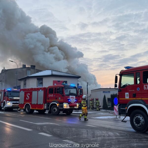 IMG_2681-600x600 Pilne