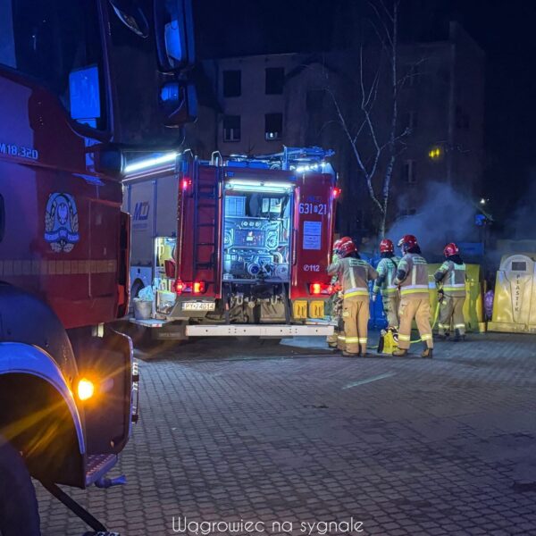 IMG_9010-600x600 Pilne