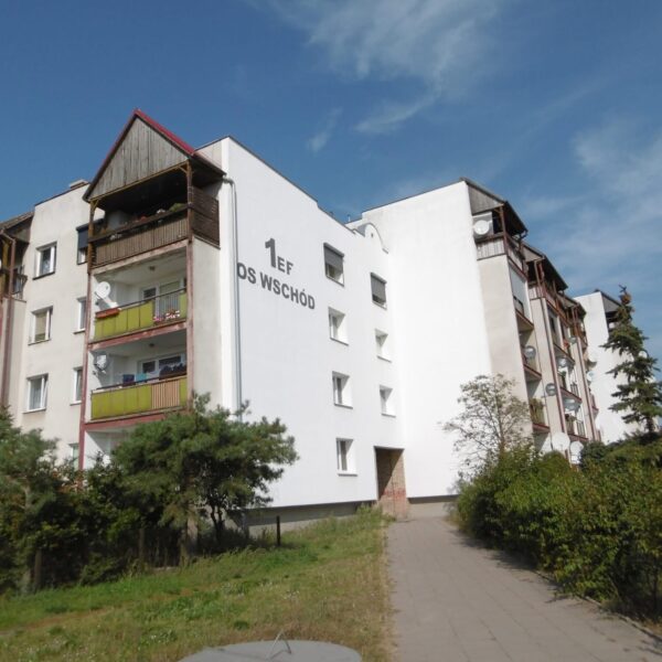 IMG_9258-600x600 Pilne