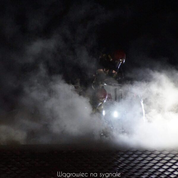 IMG_0186-600x600 Pilne