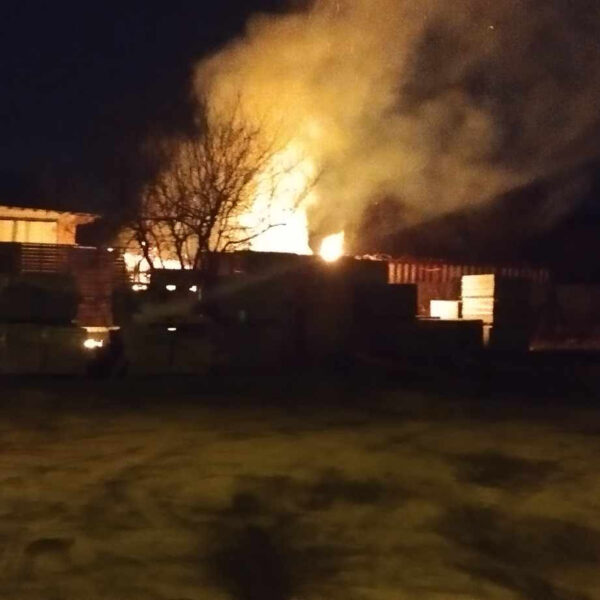 IMG_1206-600x600 Pilne