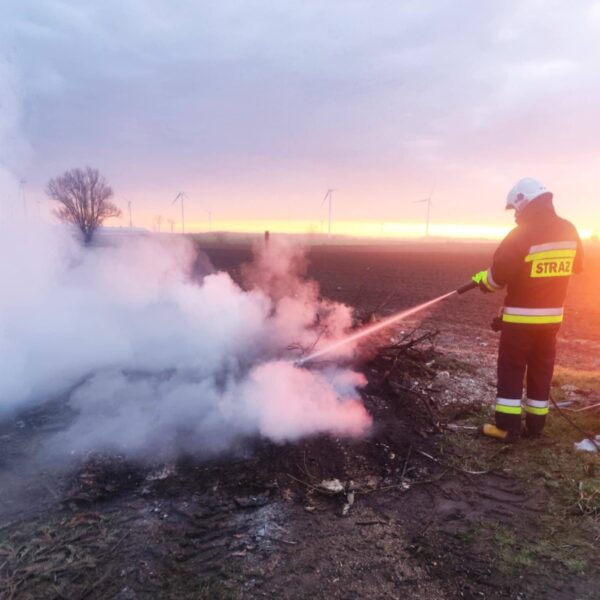 IMG_1257-600x600 Pilne