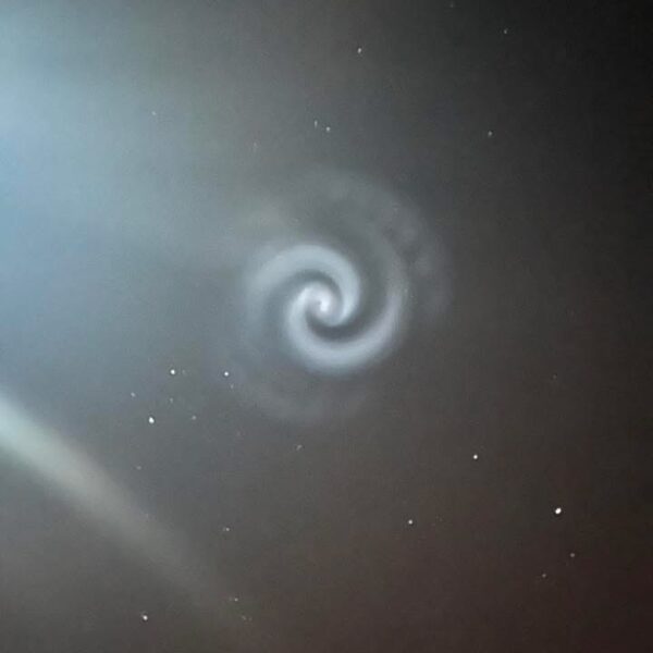 IMG_1727-600x600 Ciekawostki