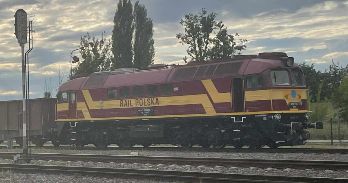 67177f8d-c02b-42e2-8c29-d2dab8114264-scaled-e1752055671647 Aktualności