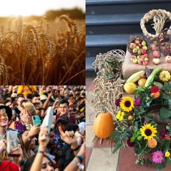 se-fe-600x600 Kultura