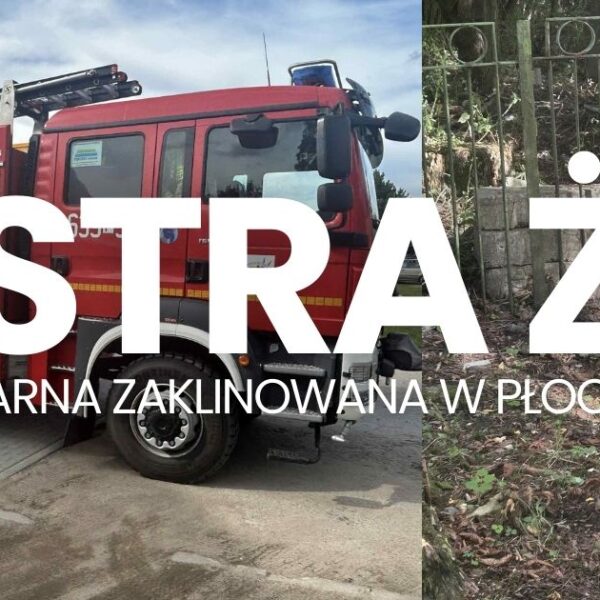 PILNEdf-600x600 Pilne