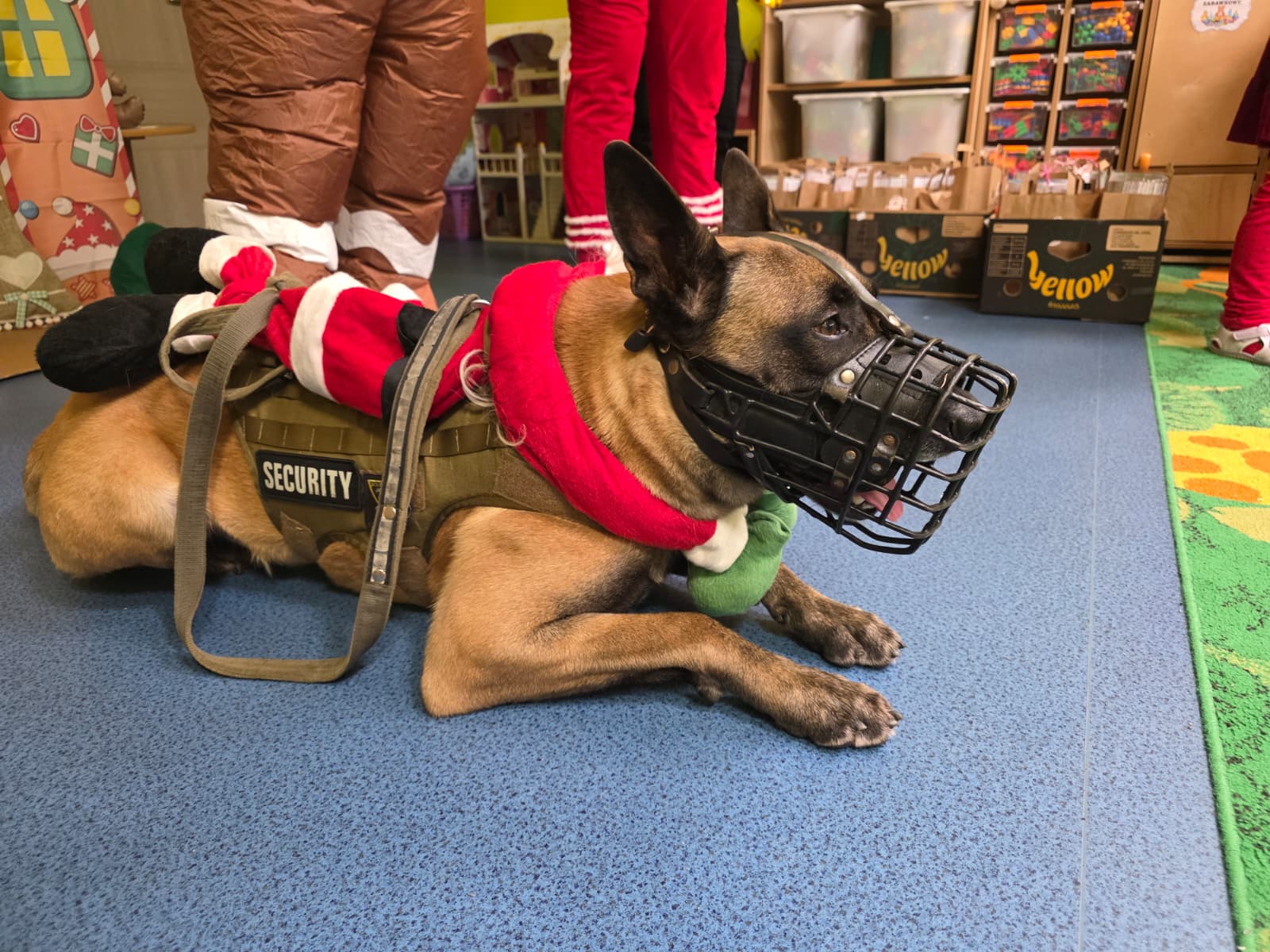 a3fc34b3-9200-4178-95ad-31b27540961f Mikołajkowa akcja w Wągrowcu. Ochrona BOND odwiedziła przedszkola w świątecznych przebraniach