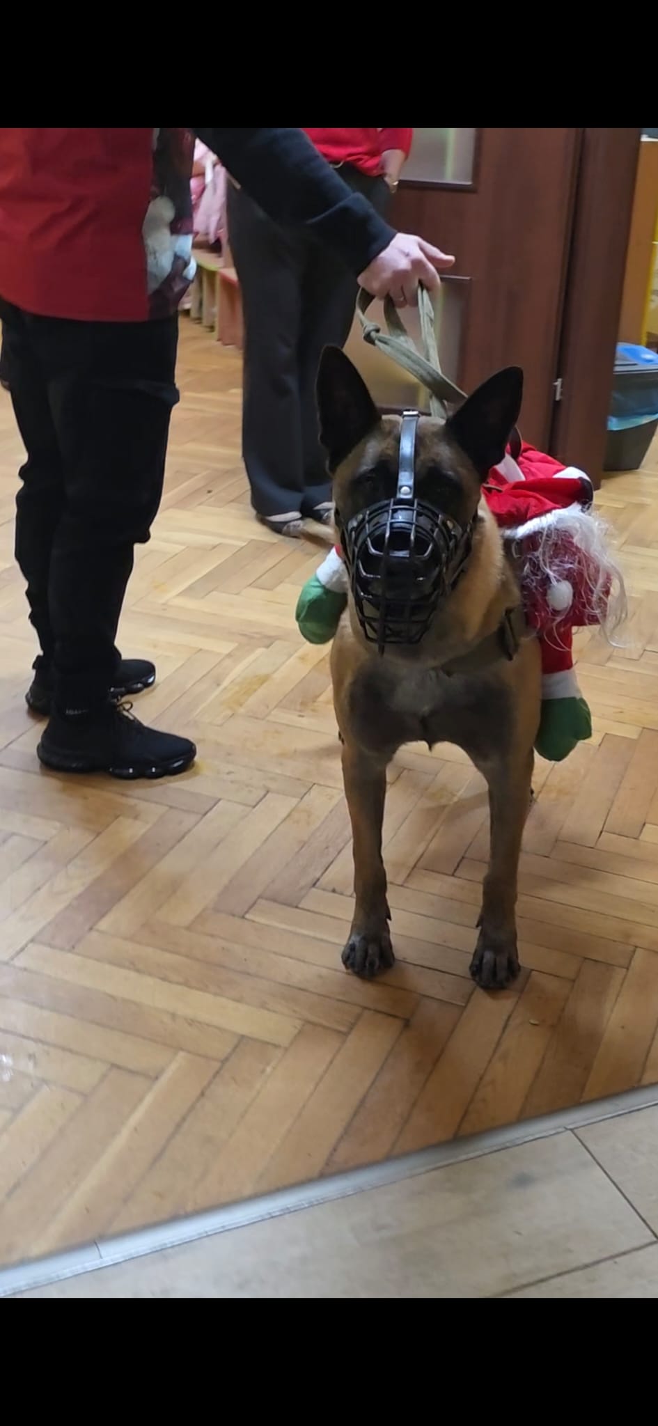 e0536a84-bd30-4801-a2d3-420fe157bd75 Mikołajkowa akcja w Wągrowcu. Ochrona BOND odwiedziła przedszkola w świątecznych przebraniach