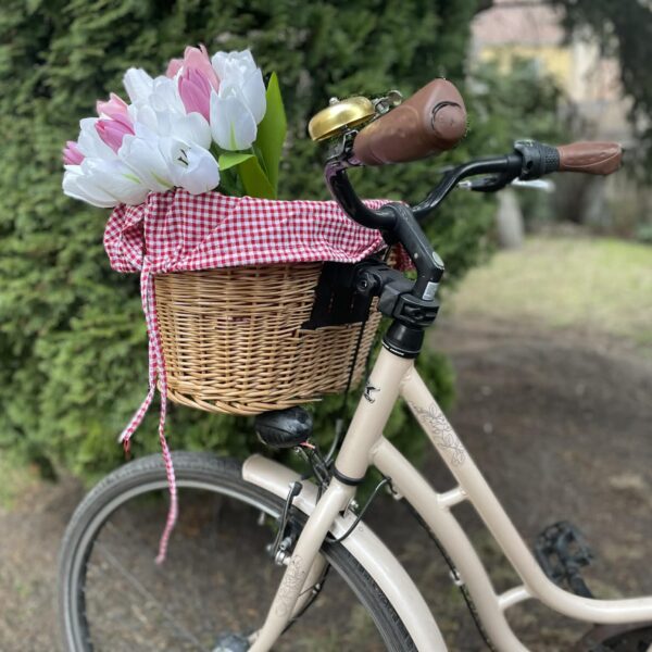 2d0e17db-5a6d-4cdc-afdb-fb19e4edabf8-600x600 Sport