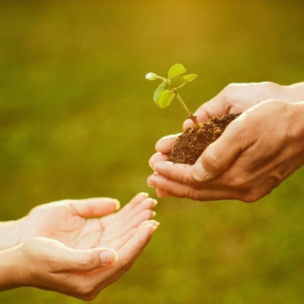 CF-1-600x600 Aktualności