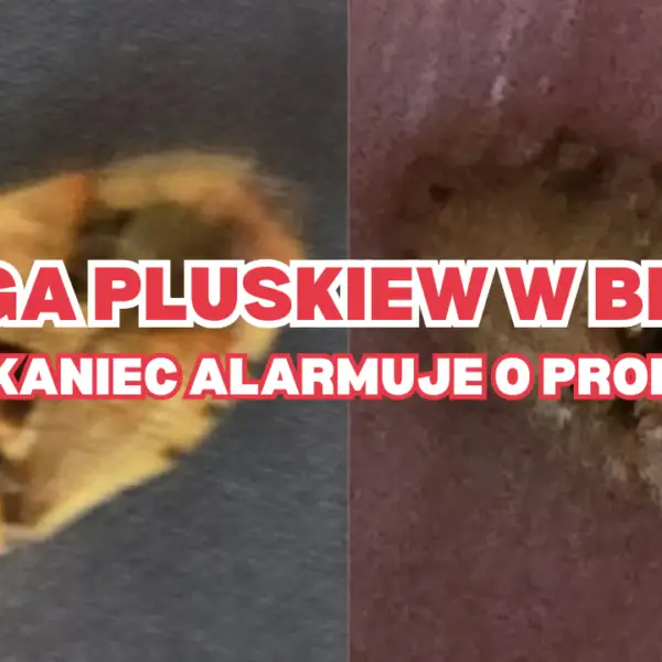 WIELKOPOLSKA-RADA-DIALOGU-SPOLECZNEGO-600x600 Pilne