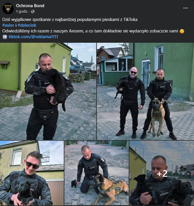 image Asior i Dzieciok podbijają internet. Psi duet z okolic Wągrowca stał się viralem