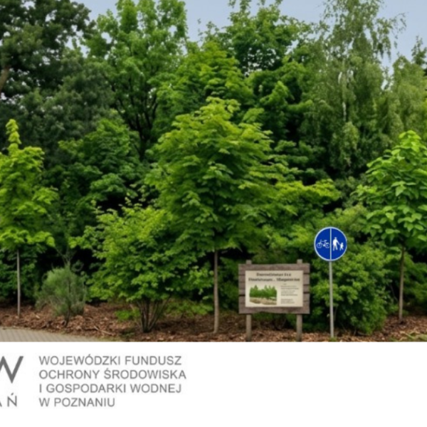 PILNEssd-600x600 Aktualności